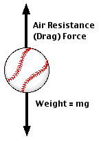 forces on a falling baseball