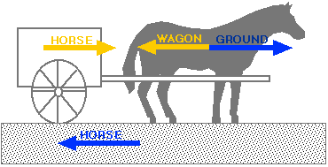 Horse and Cart Diagram