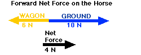Force Diagram for Horse
