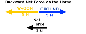 Force diagram for horse