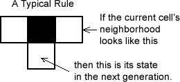 typical rule