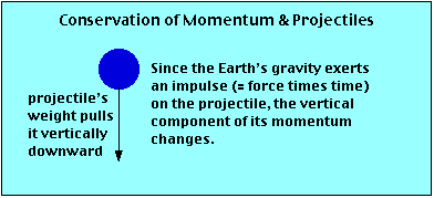 momentum in the vertical direction