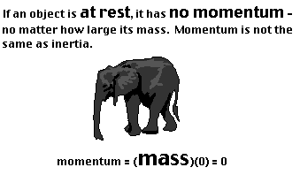 Momentum of an elephant