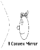 Convex Mirror Diagram